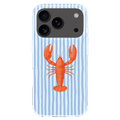 Coastal Lobster Case